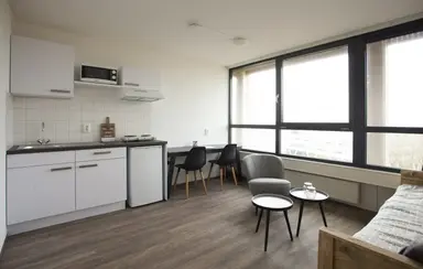 39μ² studio προς ενοικίαση για 642€/μήνα σε Goudenregenstraat 39, Groningen