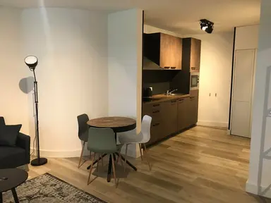 31m2 apartment à louer pour 995€/mois à Getfertweg, Enschede