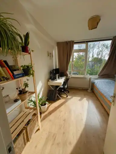 12m2 room to rent for 630€/month in Van Almondestraat, Delft