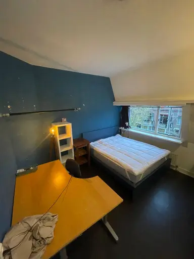 14m2 room to rent for 680€/month in Goeman Borgesiusstraat, Delft