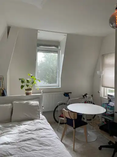 19m2 room to rent for 857€/month in Sint Annastraat, Nijmegen