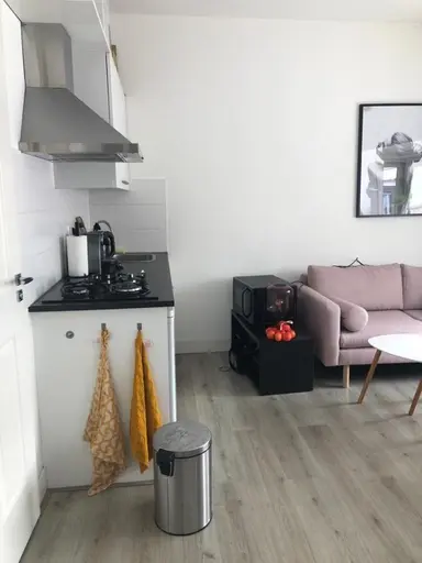 28m2 studio à louer pour 860€/mois à Gansstraat, Utrecht