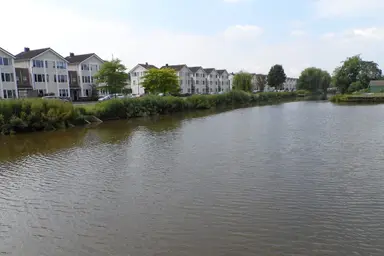 160m2 house te huur voor 2250€/maand in Piet van de Polsingel 1, Rotterdam