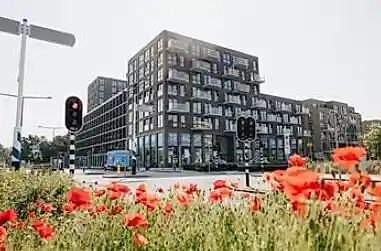 55m2 apartment à louer pour 973€/mois à Theodora Eigemanpad 308, Delft