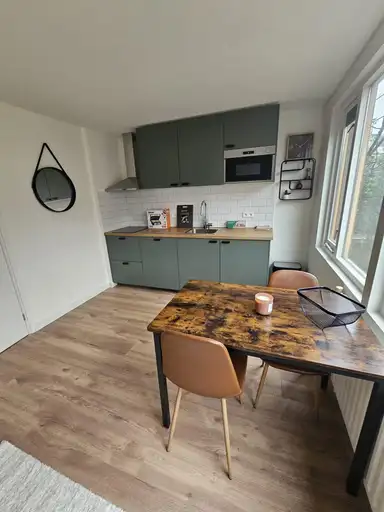 23m2 studio à louer pour 1450€/mois à Hondsrug 6, Utrecht