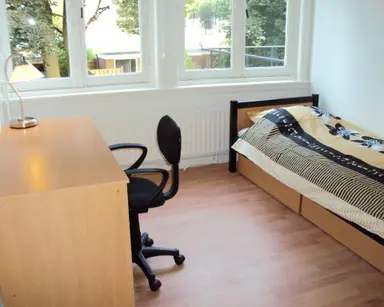 15μ² room προς ενοικίαση για 480€/μήνα σε Wattstraat, Eindhoven