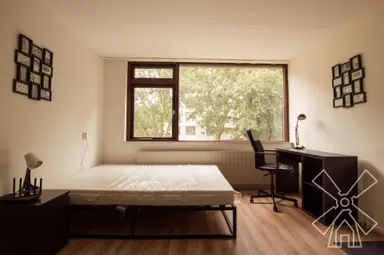 0m2 room in affitto per 800€/mese a Elviraland, The Hague