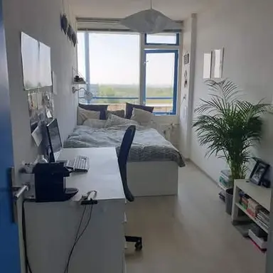 12m2 room in affitto per 420€/mese a Menno ter Braaklaan, Delft