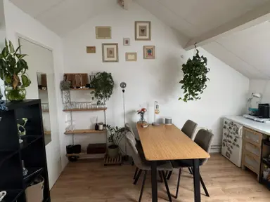 22m2 room zur Miete für 712€/Monat in Bloemenweg, Maastricht