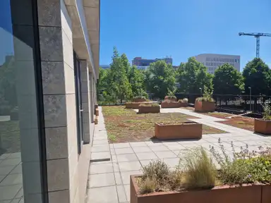 16μ² room προς ενοικίαση για 569.26€/μήνα σε Wouter van Doeverenplein, Groningen