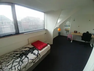 15μ² room προς ενοικίαση για 450€/μήνα σε Tongelresestraat, Eindhoven