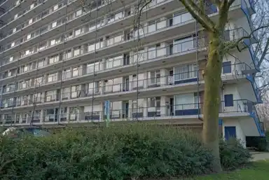 65m2 apartment te huur voor 825€/maand in Jan Dammassestraat, Rotterdam