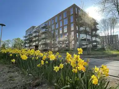 72m2 apartment à louer pour 1475€/mois à Winklerlaan, Utrecht