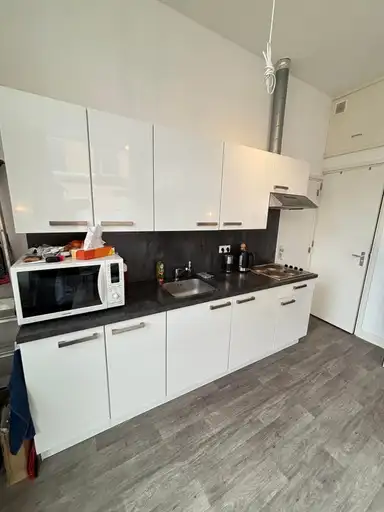 27m2 studio in affitto per 1039€/mese a Vleutenseweg 156, Utrecht