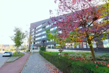 101m2 apartment in affitto per 1795€/mese a Willem de Bruynstraat, Eindhoven