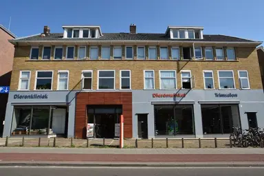 17μ² room προς ενοικίαση για 568€/μήνα σε Amsterdamseweg, Arnhem