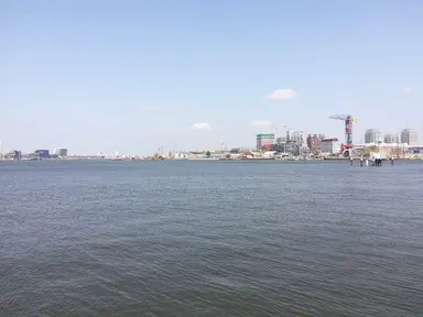 50m2 apartment to rent for 2250€/month in Distelweg, Amsterdam