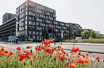 66μ² apartment προς ενοικίαση για 1284€/μήνα σε Maria Vincentiastraat 31, Delft