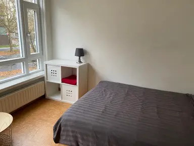 12μ² room προς ενοικίαση για 750€/μήνα σε Beverweg, Breda