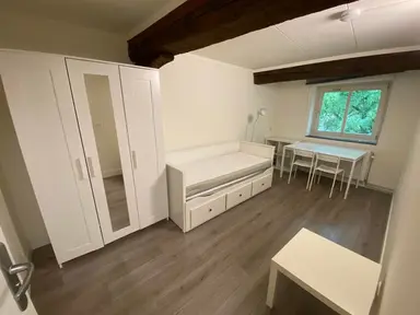 15m2 room te huur voor 901€/maand in Grote Looiersstraat, Maastricht