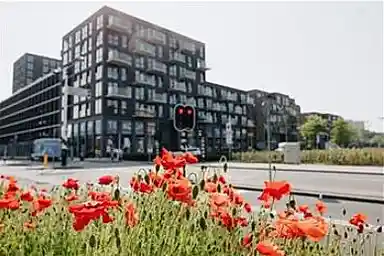 58m2 apartment te huur voor 1010€/maand in Maria Vincentiastraat 217, Delft