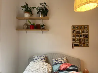 15m2 room to rent for 800€/month in 1e Delistraat, Utrecht
