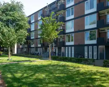 56m2 room in affitto per 575€/mese a Tobias Asserlaan, Tilburg