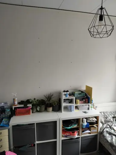 μ² room προς ενοικίαση για 400€/μήνα σε Bijenhofstraat 11, Leeuwarden