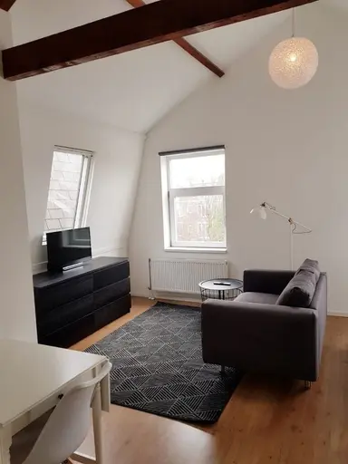 31m2 studio te huur voor 1275€/maand in Essenburgsingel, Rotterdam