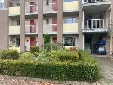 65m2 apartment to rent for 943.43€/month in Esscheweg 132, Vught