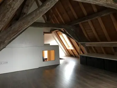 55m2 apartment te huur voor 1350€/maand in Oude Rijn, Leiden