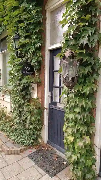 8m2 room to rent for 650€/month in Zuiderstraat, Helmond