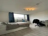 15m2 room te huur voor 750€/maand in Briljantstraat, Groningen
