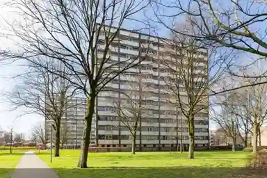 32m2 apartment te huur voor 800€/maand in The Hague