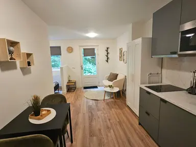 30μ² studio προς ενοικίαση για 1595€/μήνα σε Hondsrug, Utrecht