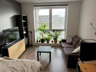 27m2 studio te huur voor 545.07€/maand in Epsilonplantsoen 215, Leiden