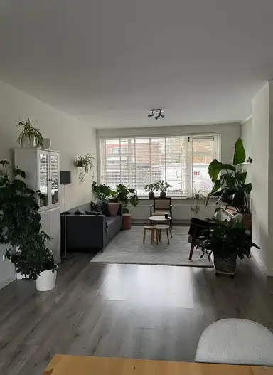 84μ² apartment προς ενοικίαση για 1730€/μήνα σε Molukkenstraat, Nijmegen