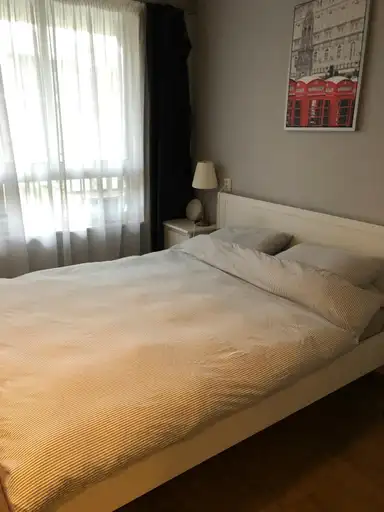 33m2 studio to rent for 1600€/month in Ruysdaelstraat, Amsterdam
