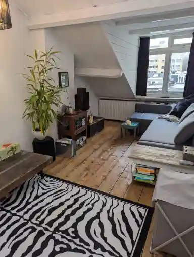 40μ² room προς ενοικίαση για 900€/μήνα σε Buys Ballotstraat, Utrecht