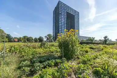 145μ² apartment προς ενοικίαση για 1500€/μήνα σε Regattaweg 228, Groningen