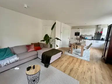 10μ² room προς ενοικίαση για 1070€/μήνα σε Pieter van der Doesstraat, Amsterdam