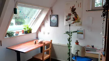 16m2 room to rent for 565€/month in Krakelingweg, Zeist