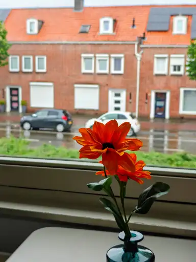 14m2 room in affitto per 1200€/mese a Ringbaan-Oost, Tilburg