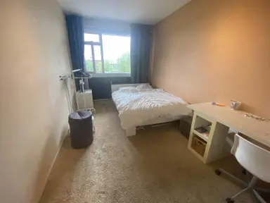 92m2 room zur Miete für 413€/Monat in Papsouwselaan, Delft