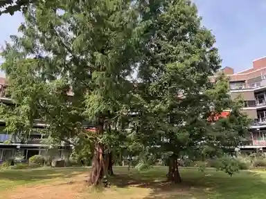 0m2 apartment à louer pour 782.24€/mois à Sterrebos 354, Oss