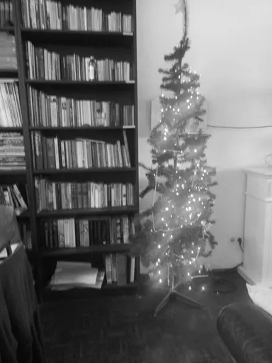 16m2 room te huur voor 799€/maand in Lucasbolwerk, Utrecht