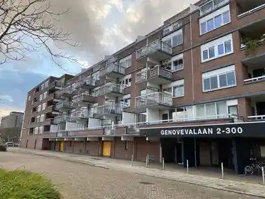 34m2 studio in affitto per 1090€/mese a Genovevalaan, Eindhoven