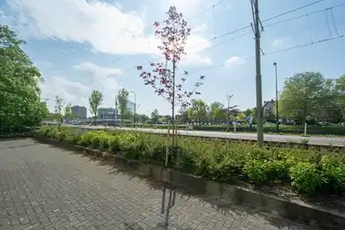 78m2 apartment to rent for 2000€/month in Delftweg, Rijswijk