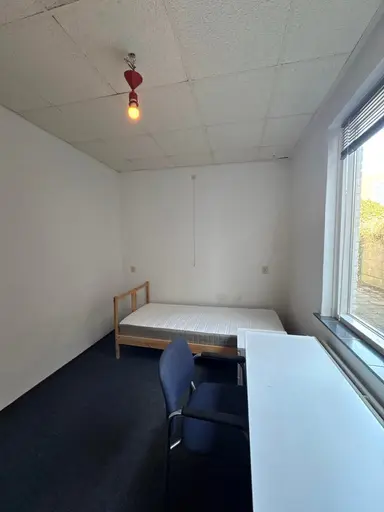 12m2 room in affitto per 475€/mese a Tongelresestraat, Eindhoven