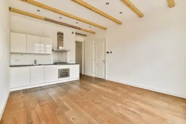52m2 apartment à louer pour 2750€/mois à Tweede Hugo de Grootstraat 14-3, Amsterdam